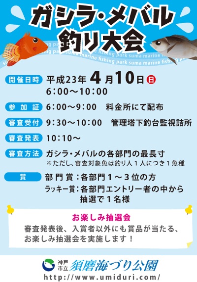 ガシラ-メバル釣り大会