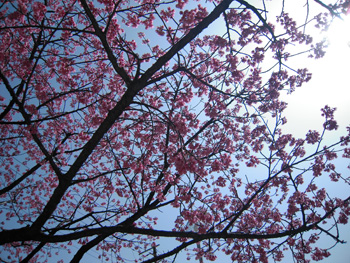 100314-2.jpg