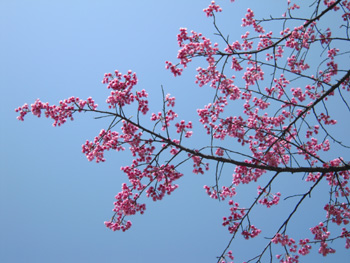 100314-3.jpg