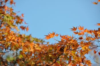 091124-1.jpg