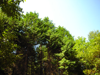 100923-2.jpg