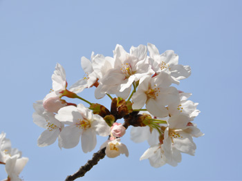 100405-1.jpg