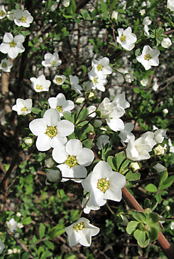 IMG_5687.gif