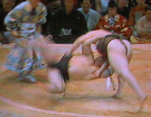 sumo.gif