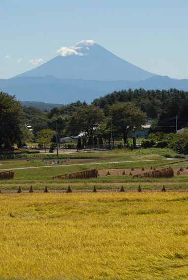 富士山縦長.jpg