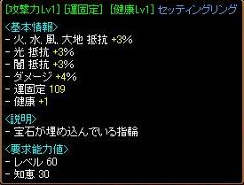GV装備　運固定指.JPG