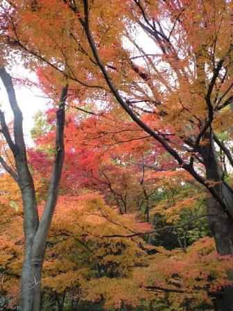 北の丸公園