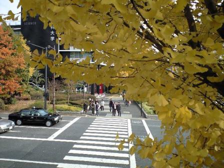 歩道橋から