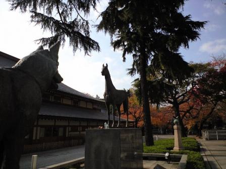 軍用犬・軍馬・軍鳩の像