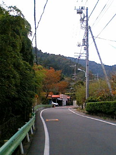 田舎道をひたすら歩きます