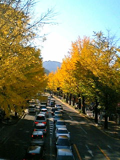 歩道橋の上から