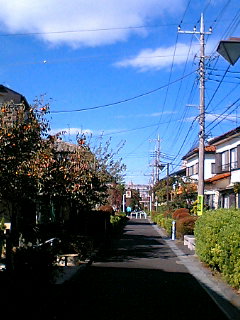 住宅街を行きます