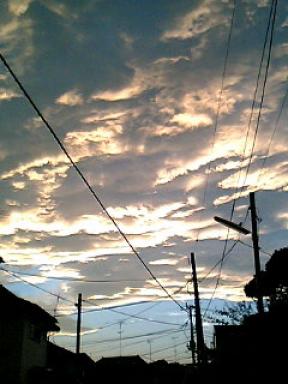 夕方　相模原市にて　10月8日