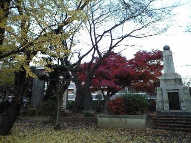 矢の山公園