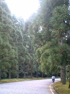 鳥のさえずりも清清しく