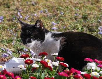 お花に囲まれて