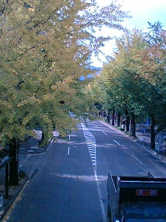 歩道橋から