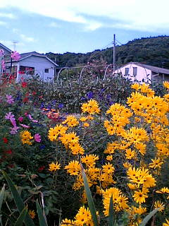 ちょっとした田舎道