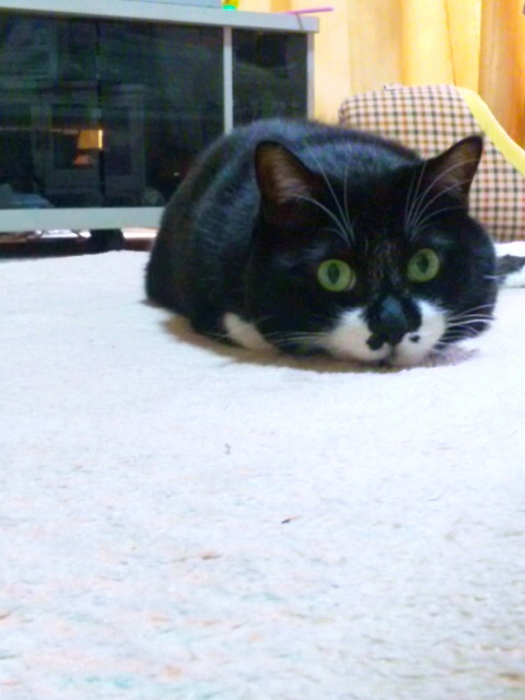 111221_075359.jpg