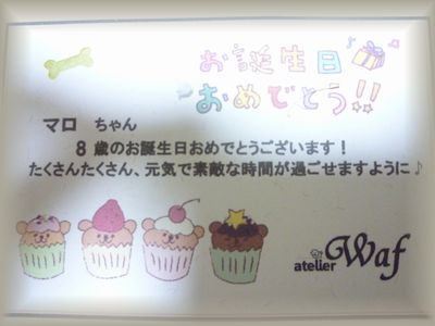 まーくんー1