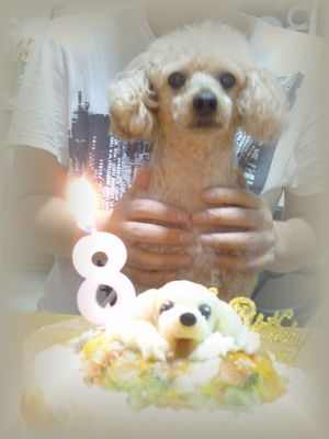 まーくんー5