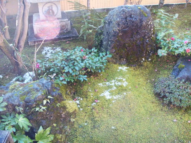 DSC01274.JPG