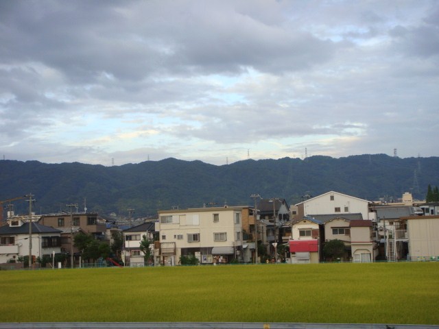 002.JPG