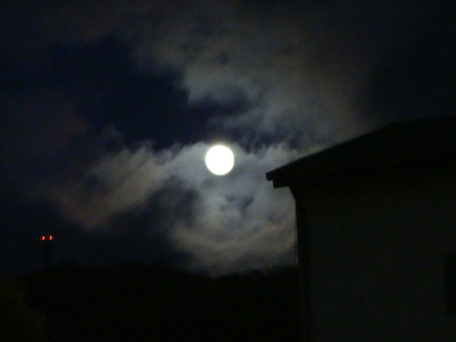 DSC01066.JPG