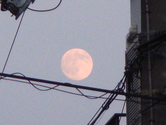 004.JPG