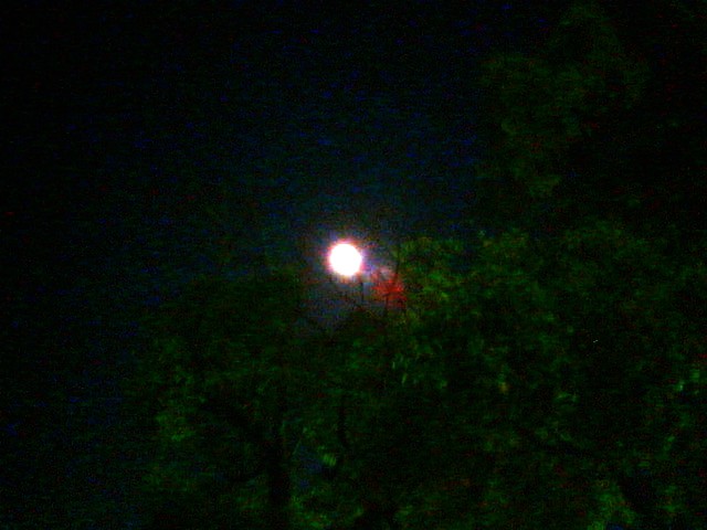 200710241904    十四夜.jpg