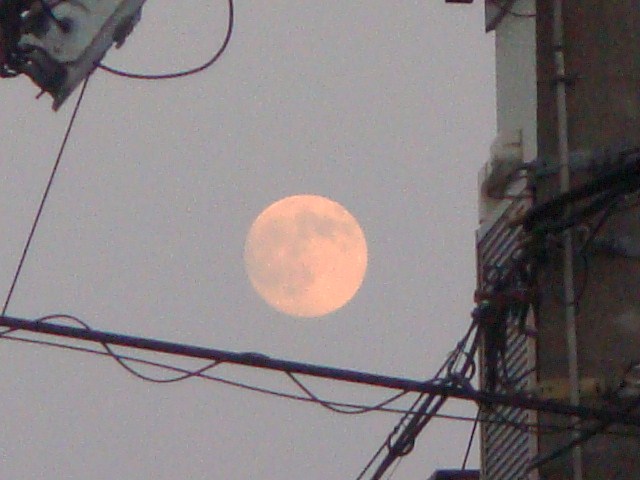 005.JPG