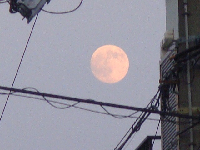 006.JPG