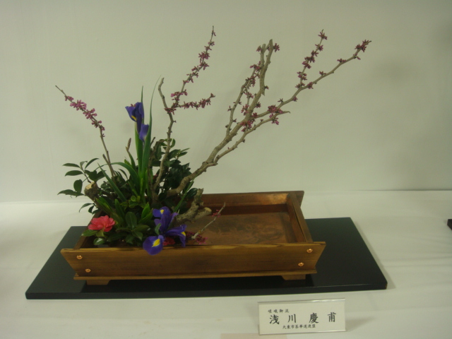 DSC01787.JPG