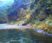 200711290749   水辺から.jpg