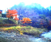 200711290750   河原から.jpg