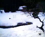 200801301342   池と雪.jpg