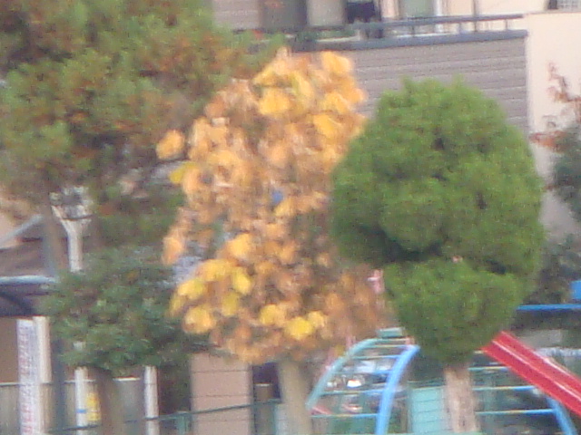 003.JPG