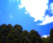 200708121400    青空.jpg