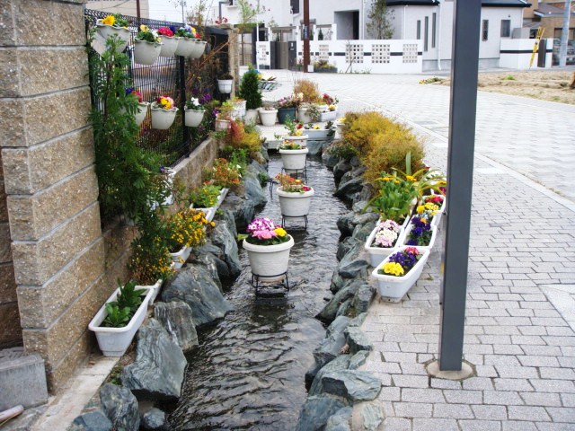 DSC00990.JPG