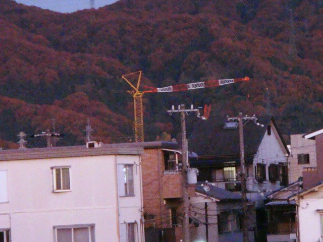 009.JPG