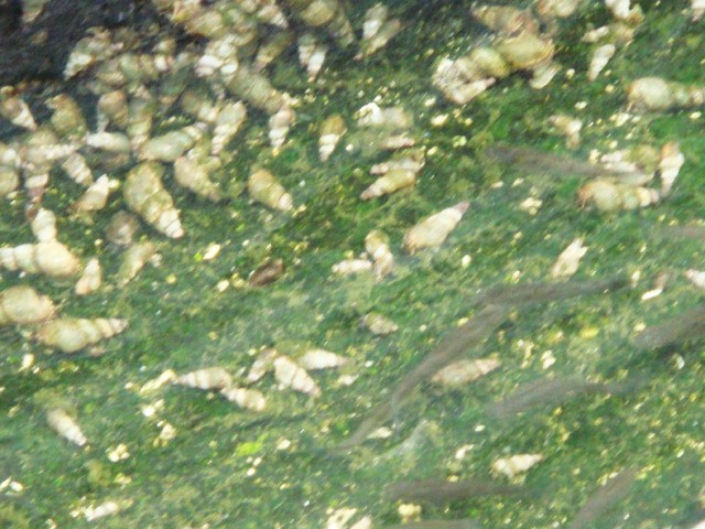 DSC00988.JPG