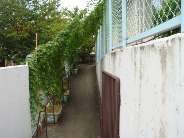 002.JPG