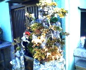 200702031056   花０１.jpg