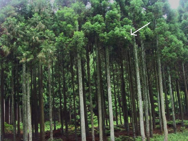011.JPG