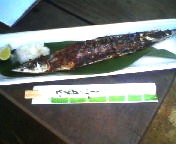 200709181201    丸ごと一匹.jpg