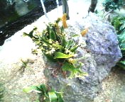 200701271418   ？.jpg