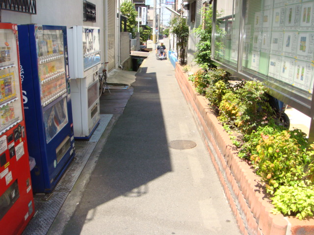 003.JPG