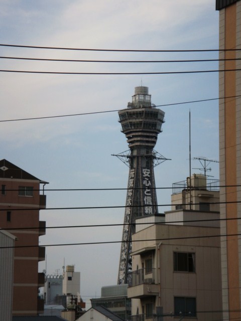 010.JPG