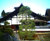 200710231145    下がり松.jpg