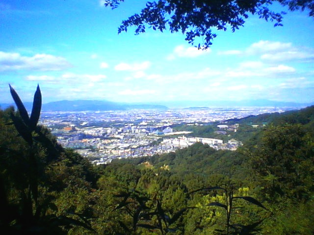 200709181358    大阪平野.jpg